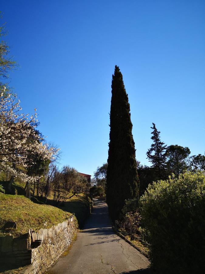 La Vivagna - Casa Vista Mare Tra Gli Ulivi Villa Leivi Exterior foto
