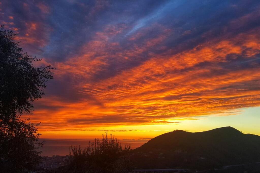La Vivagna - Casa Vista Mare Tra Gli Ulivi Villa Leivi Exterior foto