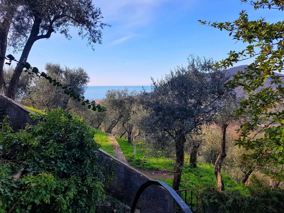 La Vivagna - Casa Vista Mare Tra Gli Ulivi Villa Leivi Exterior foto